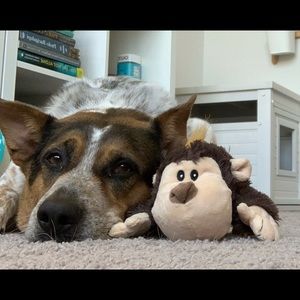 Meet your Posher, Lilia